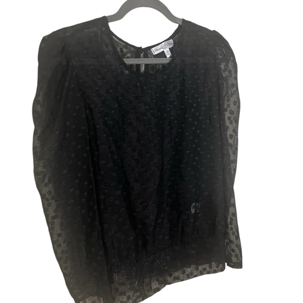 A sheer black & silver blouse in size extra large - Picture 2 of 8